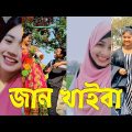Bangla 💔 TikTok Videos | হাঁসি না আসলে এমবি ফেরত (পর্ব-৬৪) | Bangla Funny TikTok Video #skbd