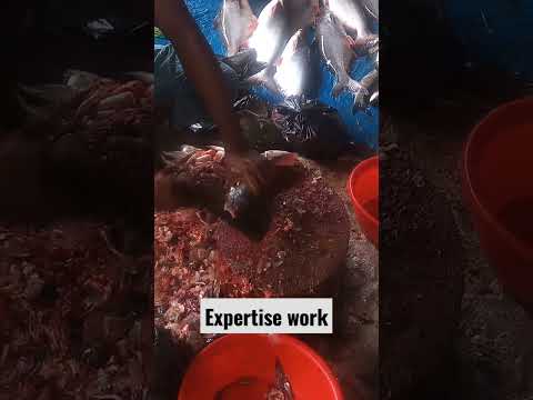 Fish Cutting #ytshorts #travel #bangladesh expert work