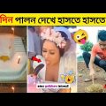 জন্মদিন পালন করতে হলে এইভাবে করুন 🎂| Funny Birthday video | Get insurance before your birthday