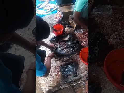 Fish cutting #ytshorts #travel #bangladesh