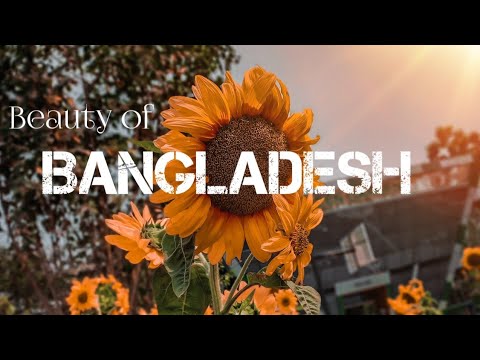 Bangladesh travel video | Cinematic video |