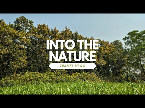 Into the nature explore with my uncle 2023 #bangladesh #nature #travel #explore #2023 #video #viral