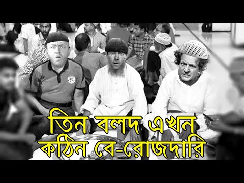 Three Stooges difficult berojdari | Bangla Funny Dubbing | Bangla Funny Video | Khamoka tv