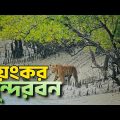 সুন্দরবন ভ্রমণের সবকিছু এক ভিডিওতে 🇧🇩 World's Largest Mangrove Forest | Sundarban Relax Trip 2023