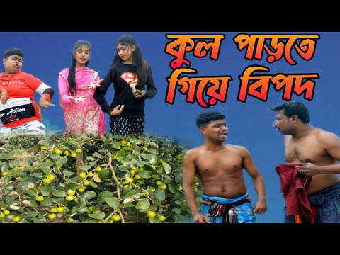 কুল গাছে ঢিল মারতে গেলে দেখে শুনে মারবে (new comedy video)