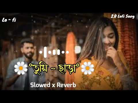 Tumi Chara (Lyrics) | তুমি ছাড়া | Slowed And Reverb | Bangla Lofi Song | Viral Song | 2.0 Lofi Song