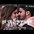তুই বৰ্ষা বিকেলেৰ ঢেউ❤️!!#lofi#bangla song#slow#reverb#Rumantic song# Bangladesh!!