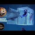 Daya Fights A Shark | CID | Most Viewed