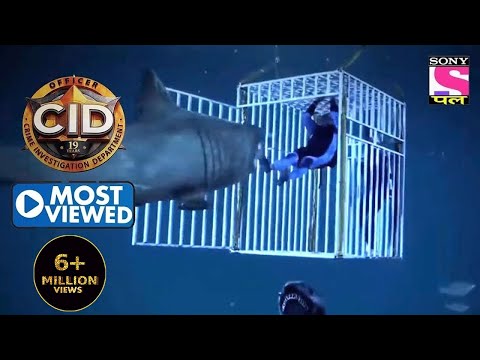 Daya Fights A Shark | CID | Most Viewed