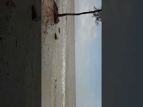 Patenga sea beach | Travel Bangladesh sea beach | পতেঙ্গা সমুদ্র সৈকত ভ্রমন |