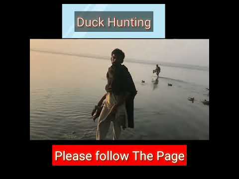 Hunting Duck behind riverside #travel #bangladesh #haor #fypシ #stylish #motivation 26 March 2023