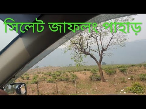 সিলেট জাফলং পাহাড়।। Sylhet Jaflong।। Bangladesh travel vlog 2023।। @gowithNir।।  Let's go Sylhet