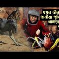Evolution Full Movie Story in Bangla | Hollywood Cinemar Golpo Banglay | CinemaBazi