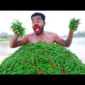 Must Watch Very Special New Comedy Video 😎 Amazing Funny Video 2023 Episode 204 By Busy Fun Ltd