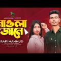 Mawla Jane | মওলা জানে | Bangla Sad Song | Rafi Mahmud | Toma Akther | Music Video | Lionic Music