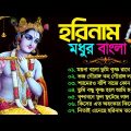 মধুর বাংলা হরিনাম গান | Horinam New Bangla Song | Bangla Horinam Song | হরিনাম গান |2023 Horinam Gan