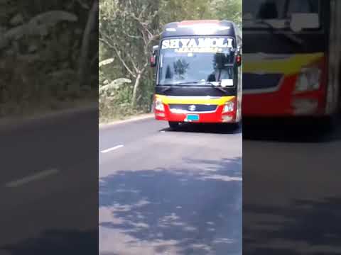 Bus Lover Bangladesh|SHYAMOLI bus dipper |#bus #mobilebus #travel #localbus #classicbus #shortvideo