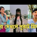 হাঁসতে হাঁসতে শেষ 💔 সেরা হাসির টিকটক ভিডিও | Bangla Funny TikTok Video | ( Part 55 ) #RMPTIKTOK