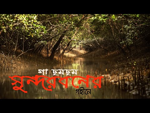 গা ছমছমে সুন্দরবনের গহীনে । World Largest Mangrove Forest Sundarban Travel । Bangladesh