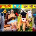 অস্থির বাঙালি part:8 | Funniest Animals | Funny Moments Cought On Camera | Bangla Funny Video