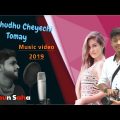 Aami Shudhu cheyechi tomay Bangla Music Video By Mithun Saha