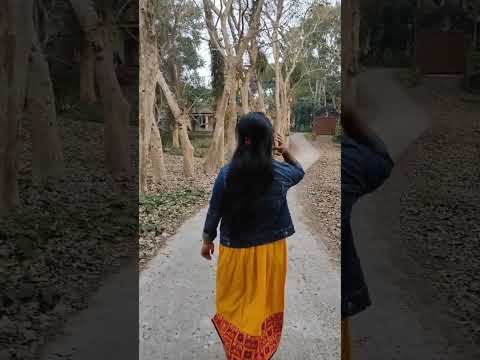 Bangladesh Tea Research Institute.. #beautiful_bangladesh #shortvideo #shorts #travel #bangladesh.