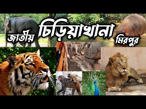 মিরপুর জাতীয় চিড়িয়াখানা। Bangladesh National zoo। Travel vlog 2023।