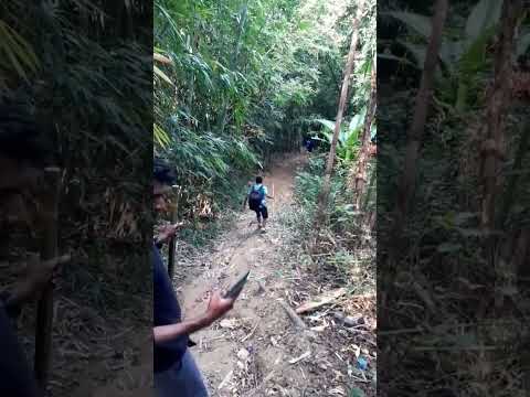 trekking time 🇧🇩 | #bangladesh #sylhet #travel #nature #mountains