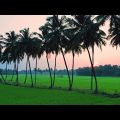 Travel with cromo Tv  In Bangladesh.YES, THIS IS DHAKA.Beautiful Bangladesh 4K.