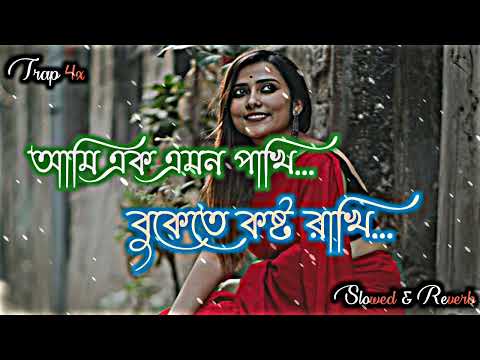 Ami Ek Emon Pakhi | আমি এক এমন পাখি | Bangla song slowed.