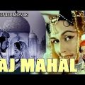 Taj Mahal ताज महल 1963 Historical Hindi Full Movie | Pradeep Kumar | Bina Rai | Veena | TVNXT HINDI