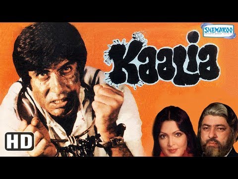 Kaalia Hindi Full Movie {1981} – Amitabh Bachchan | Parveen Babi | Pran – Superhit Hindi Movie