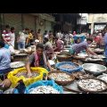 Wondrous Fish Market | Biggest Fish Market In Old Dhaka Bangladesh