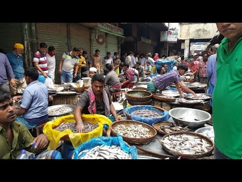 Wondrous Fish Market | Biggest Fish Market In Old Dhaka Bangladesh
