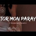 Tor Mon Paray ( তোর মন পাড়ায় ) Mahdi Sultan || Bangla Lofi Song