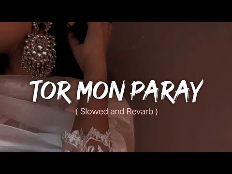 Tor Mon Paray ( তোর মন পাড়ায় ) Mahdi Sultan || Bangla Lofi Song