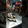 দেখুন কাতল মাছ মাত্র ১৬০টাকা কেজি বিক্রয় হচ্ছে #travel #bangladesh #fishmarket #subscribe #fish