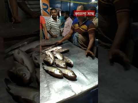 দেখুন কাতল মাছ মাত্র ১৬০টাকা কেজি বিক্রয় হচ্ছে #travel #bangladesh #fishmarket #subscribe #fish