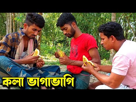 তিন বাট*পারের বাট*পারি দেখুন | Bangla Funny Video | Hello Noyon