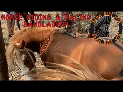 Horse Riding and Racing in Bangladesh 🇧🇩! #travel #bangladesh #horse #viral