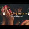 Tomar Pichu Charbo na | slowed+ reverd| New bangla Lofi Song| #lofibangla #bangladesh