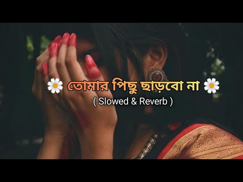 Tomar Pichu Charbo na | slowed+ reverd| New bangla Lofi Song| #lofibangla #bangladesh