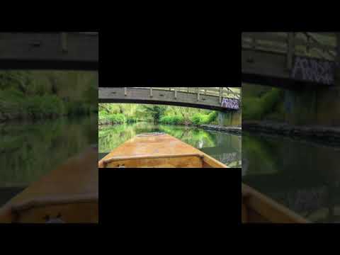 #uk #english #england #youtube #shorts #tranquility #peace #boat #punting #travel #bangladesh #ts