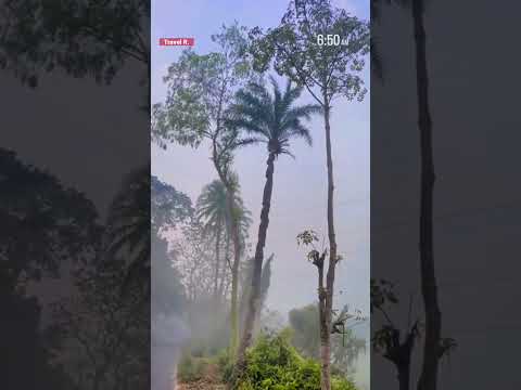 Sugarcane juice | winter morning | Bangladesh #travel #shorts