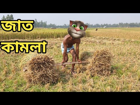 বাবা ছেলের ধান কাটার কষ্ট ||Talking Tom Bangla Funny || Talking Tom Bangla Comedy ||কালা মফিজ