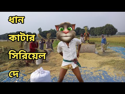 ইরি ধান কাটার সিরিয়েল দে বাহে ||Talking Tom Bangla Funny || Talking Tom Bangla Comedy ||কালা মফিজ