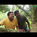 কাকা ভাতিজার আম পেড়ে খাওয়ার ভিডিও || বাংলা ফানি ভিডিও || Bangla Funny Video || Village Life Video