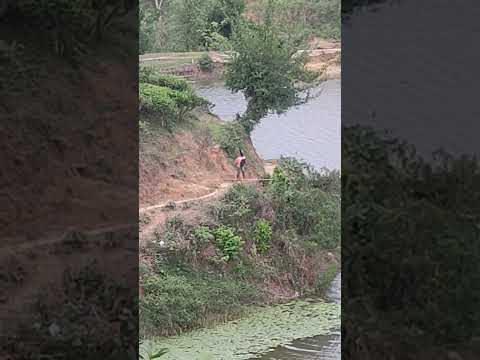 পালতোলা নৌকায় এসে হারাবো  #shortvideo #whatsappstatus #nature #viral #travel #bangladesh #trending