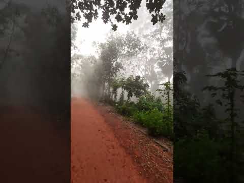 winter morning #bangladesh #travel #shortvideo #whatsappstatus #viralshorts #winter