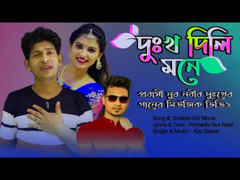 দুঃখ দিলি মনে | Dukkho Dili Mone | Bangla  Song | Probashi Nur Nobir Gaan | প্রবাসী নুর নবীর গান